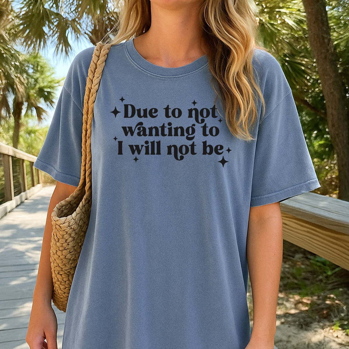Due To Not Wanting To - Unisex Comfort Colors Garment-Dyed Heavyweight T-Shirt