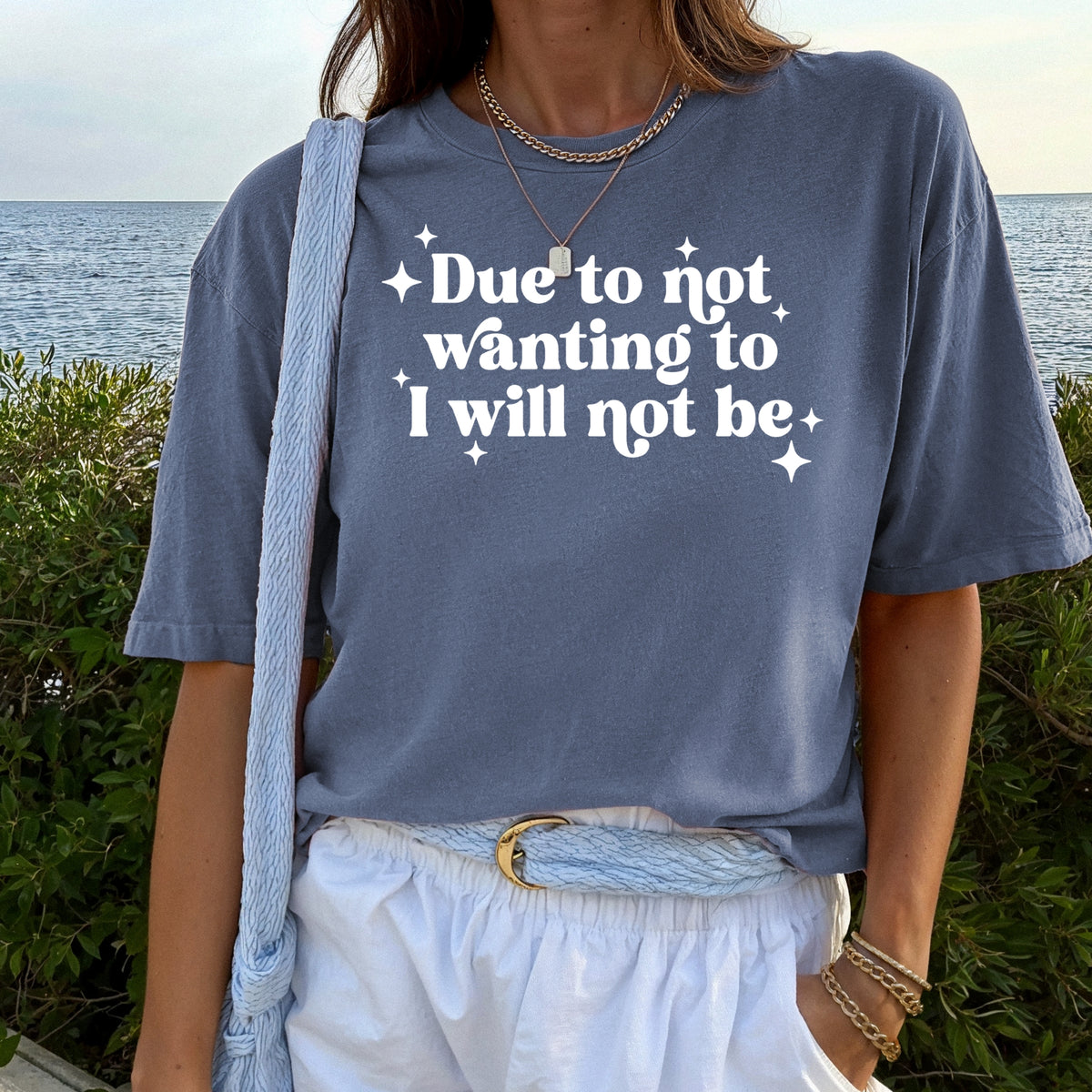 Due To Not Wanting To - Unisex Comfort Colors Garment-Dyed Heavyweight T-Shirt